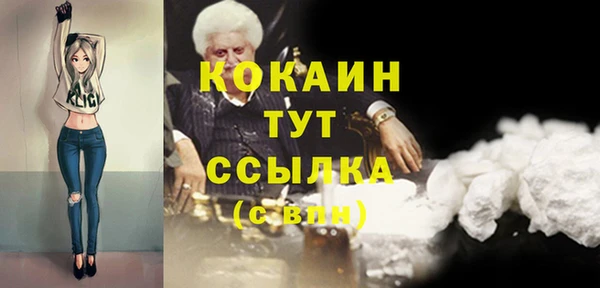 соль ск Алексин
