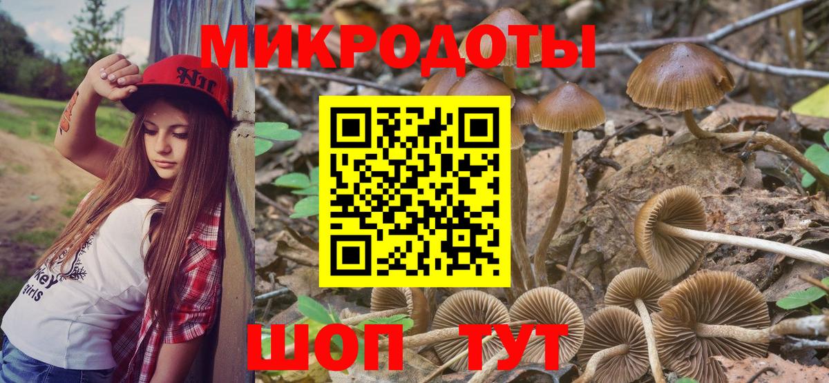 Псилоцибиновые грибы MAGIC MUSHROOMS  Вход с VPN  хочу наркоту  Егорьевск 