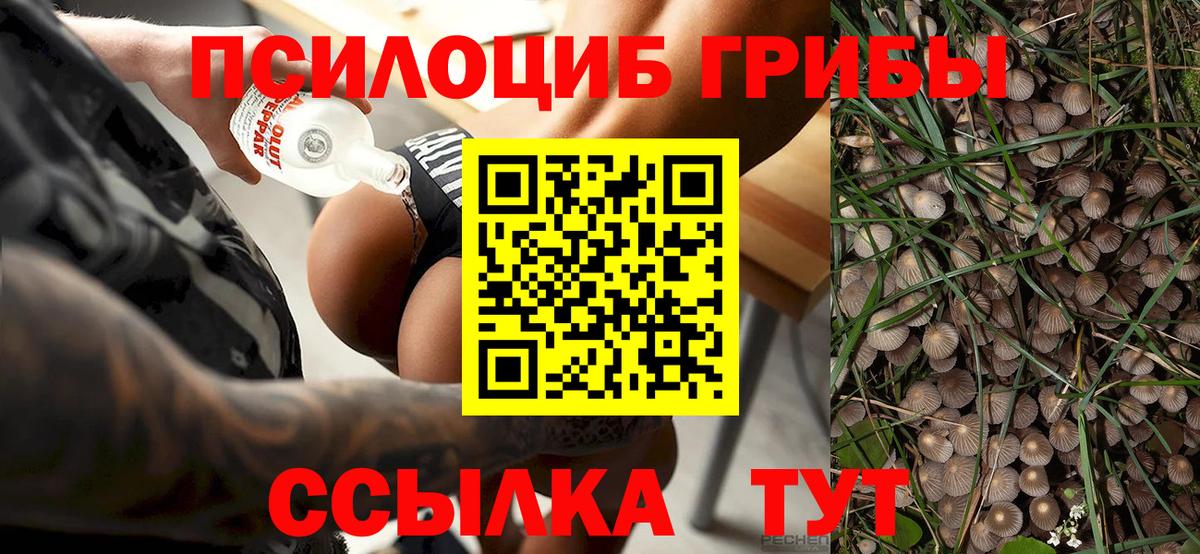 Псилоцибиновые грибы ЛСД Егорьевск